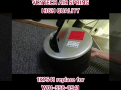 Las agujas de suspensión por aire 1K9541 REPLACE FOR W01-358-9541